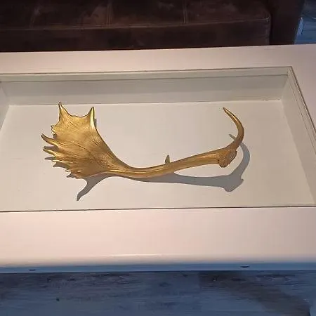 Semesterbostad Ellie Mit Bootscharter Auf Der Mueritz